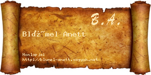 Blümel Anett névjegykártya